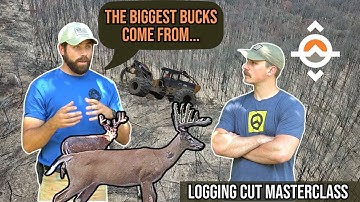 Logging Cut MASTERCLASS for Deer Hunting and Forest Management