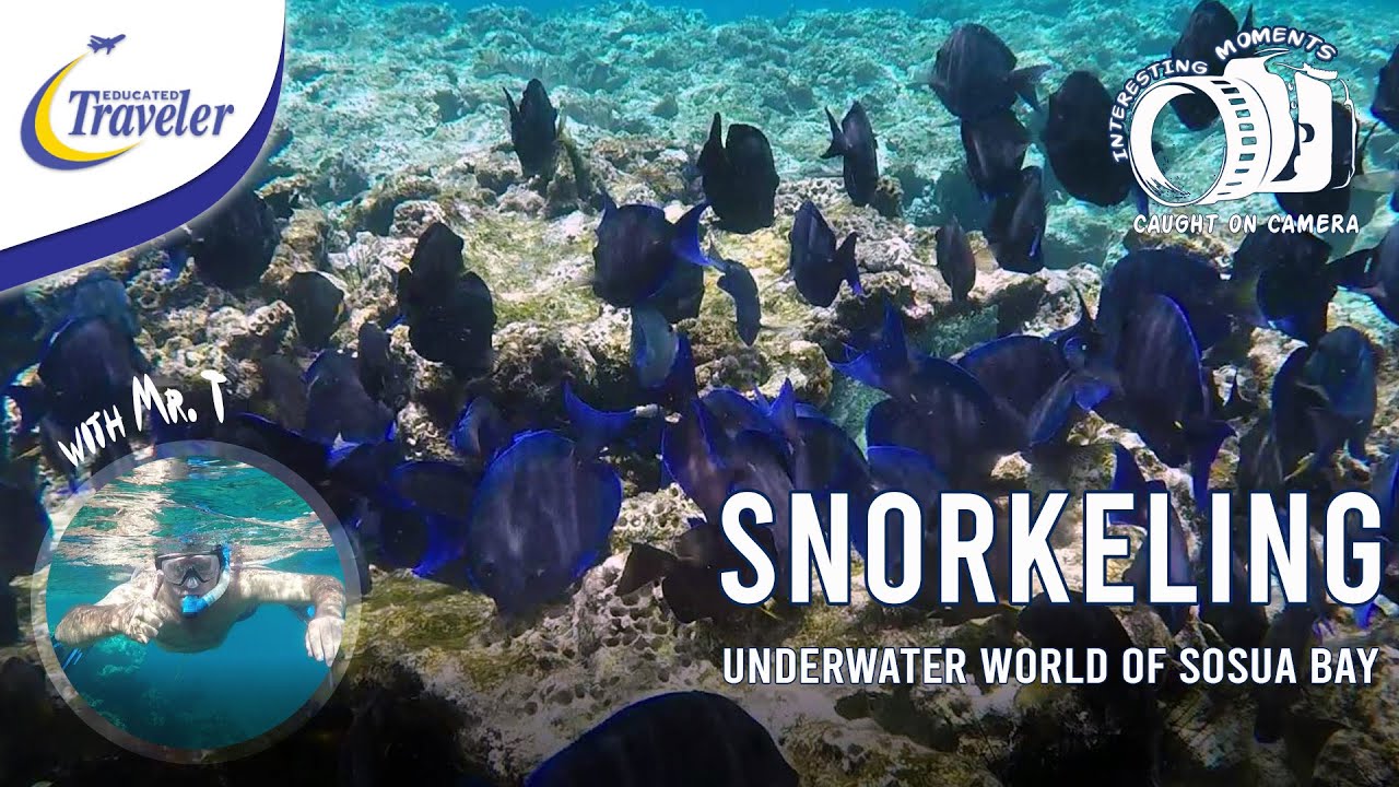 Join me on an Underwater Adventure in Sosua Bay | Awesome GoPro footage | Snorkeling at Sosua Beach