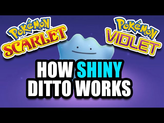 Where to find Ditto in Pokémon Scarlet & Violet