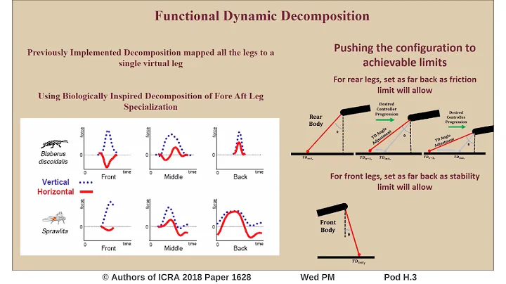 Fore-Aft Leg Specialization Controller for a Dynamic Quadruped