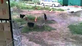 Download Lagu la que tengo lia MP3