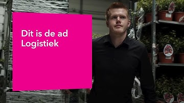 Ad Business Studies Logistiek | Ervaringen van studenten | Hogeschool Inholland