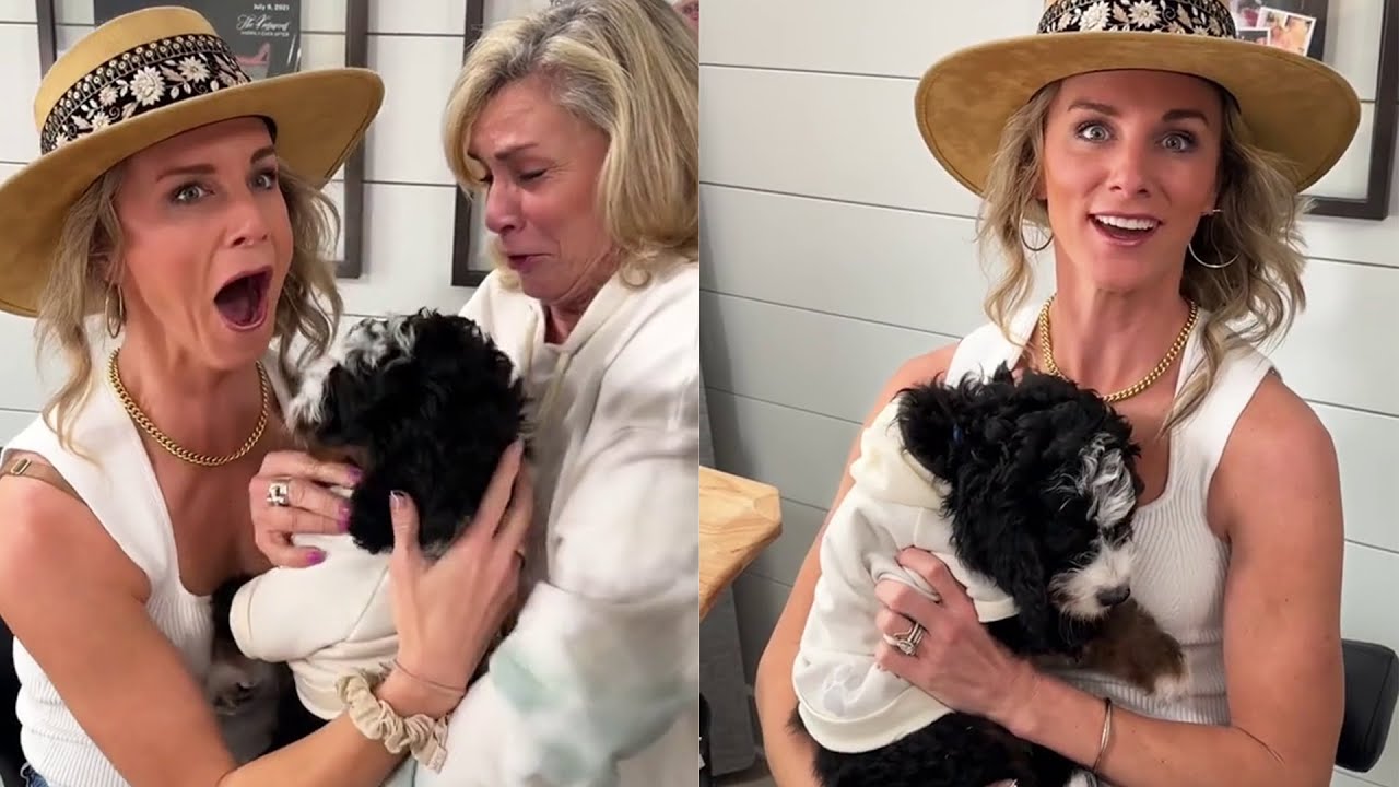 🐕 FULL New New Puppy Surprise Compilation 2024 | Let Emotions.