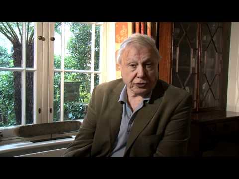 Sir David Attenborough Appeal for ARKive
