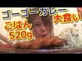 アラサー女【ゴーゴーカレー】でごはん520グラム☆ビジネスクラス