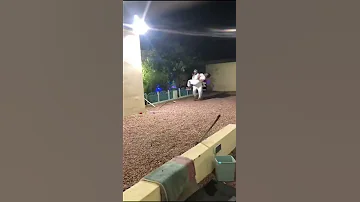 مقلب اخوياه شوفو الفزعة 