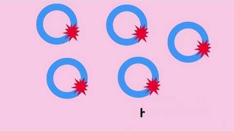 Modes of Inheritance - Mitochondrial Disorders