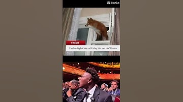 TIN NÓNG!!!Firefox đã phát hiện ra lỗ hổng bảo mật của Window