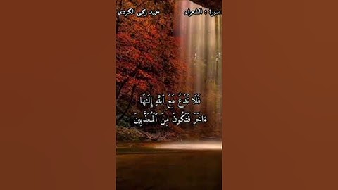 تلاوة جميلة من سورة الشعراء عبيد زكى الكردى #quran #muslim  #القرآن  #حالات  #قران_كريم