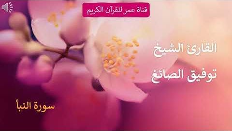 078   سورة النبأ   القارئ الشيخ توفيق الصائغ