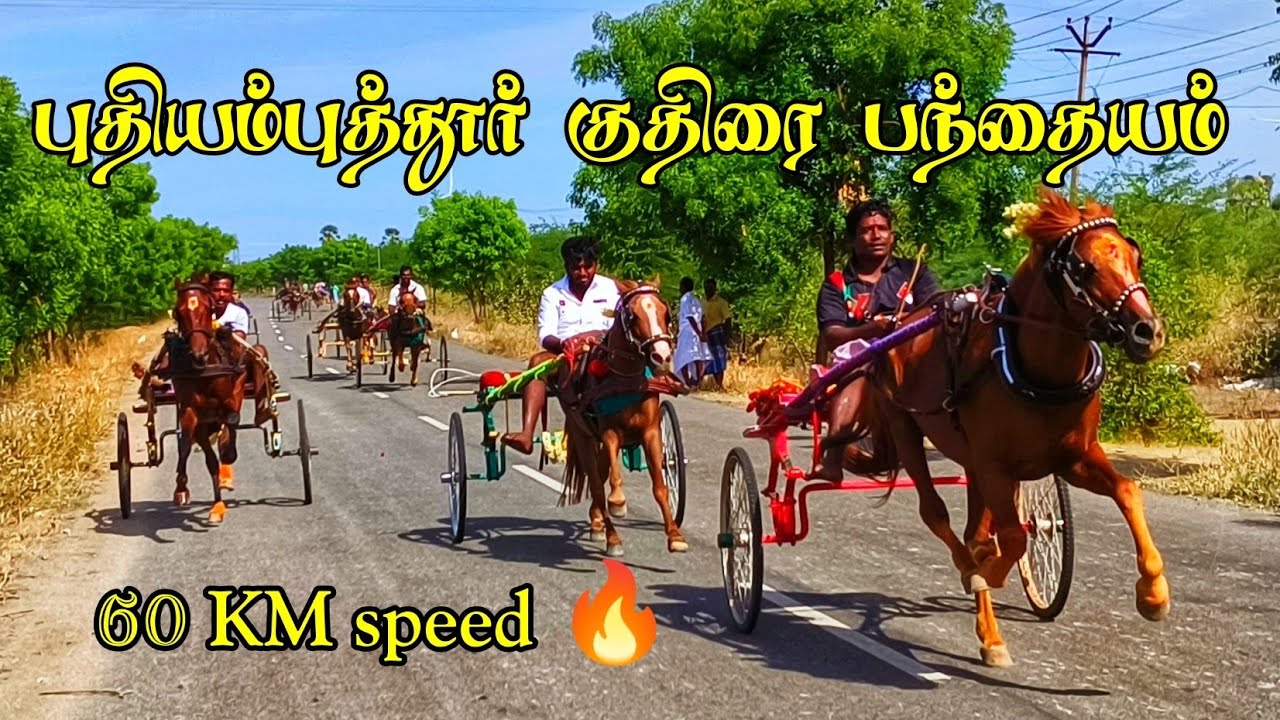 4 புதியம்புத்தூர் குதிரை பந்தையம் தூத்துக்குடி மா 