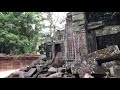 Jungle temple in angkor