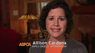 ASPCA TV Spot, 'This Winter' Featuring Allison Cardona Commercial 2014