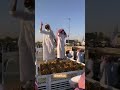مزاد حراج التمور في بريدة القصيم تمور فاخرة سكري ملكي مزاد حراج التمور في بريدة القصيم تمور فاخرة سكري ملكي