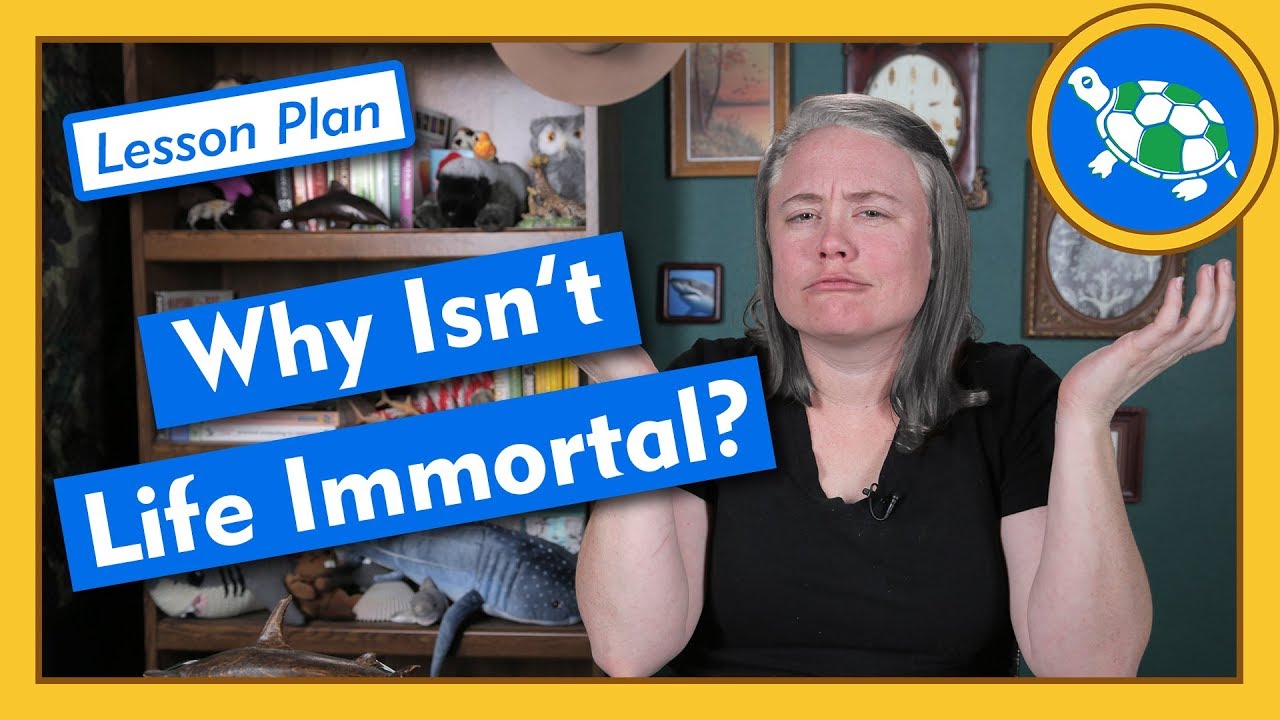 ⁣Why Isn't Life Immortal? - Lesson Plan