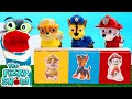 Fizzy &amp; The Paw Patrol Pups Go On A Mission To Celebrate Friendship Day With Surprise Boxes