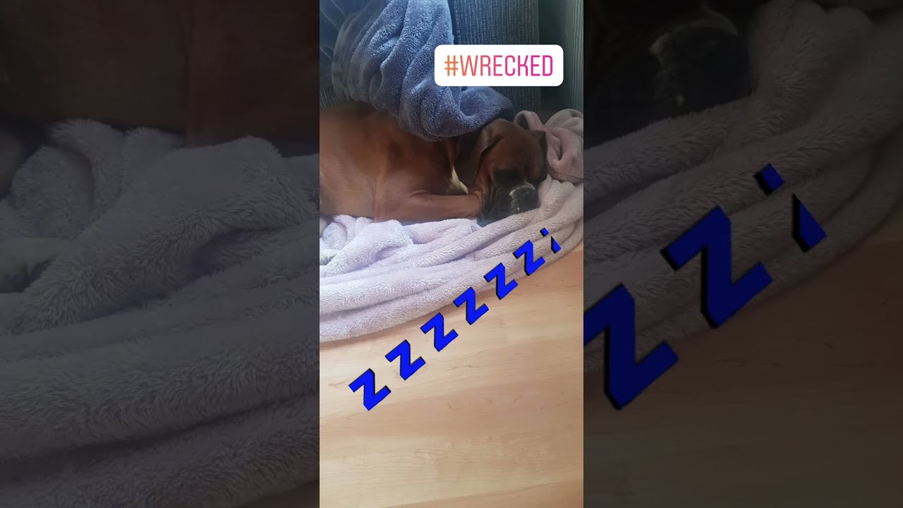 Zzzz