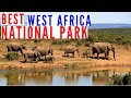 Discover Mole National Park. Why Mole National Park Ghana Is Best In West Africa. Visit Ghana Today.