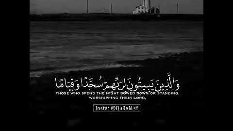 صوته مريح جداl تلاوة في غاية الجمال للشيخ عبد الرحمن الحميداني ❤حالات واتس أب دينيه