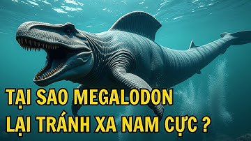 Tại Sao Cá Mập Khổng Lồ Megalodon Lại Tránh Xa Nam Cực | Sử Ký Nhân Loại