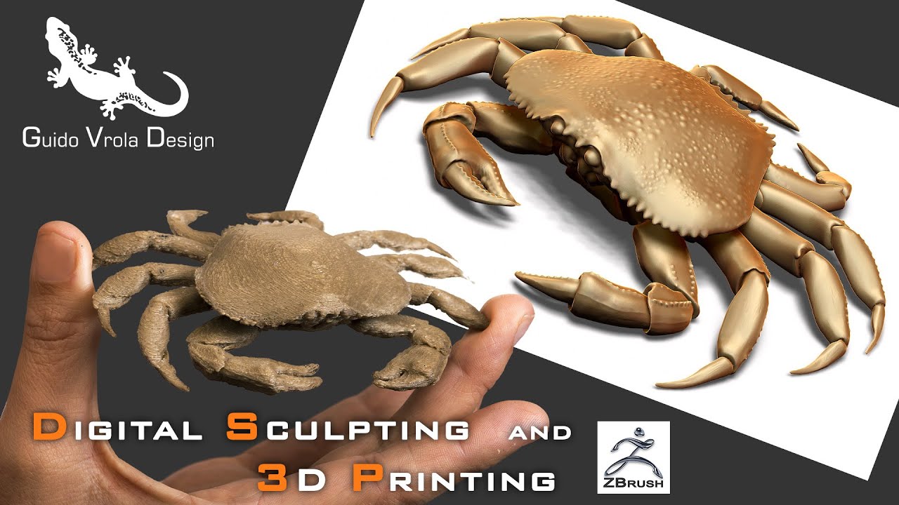 zbrush-crab-tutorial-digital-sculpting-and-3d-printing-youtube