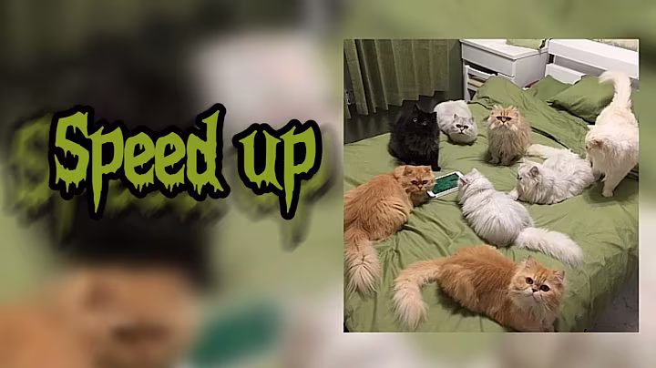 ~Lida stream, Kussia88, mafanya, derzko69, b3brina, Bramo - Гимн Шпаны {speed up} ~💕🎧