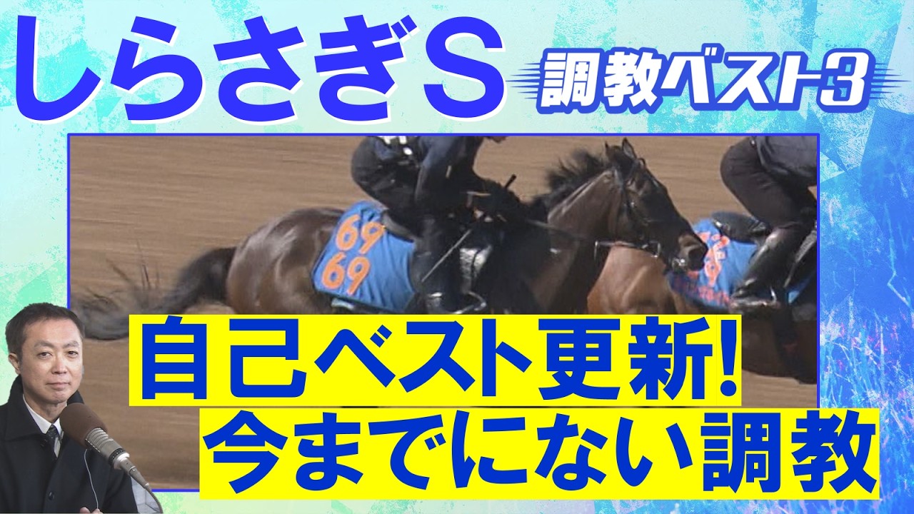 関連動画1