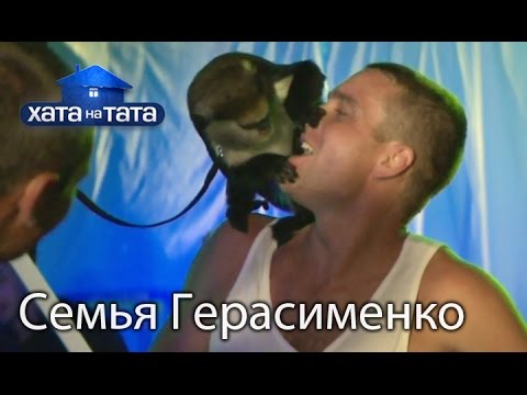 Видео: Семья Герасименко. Хата на тата. Сезон 5. Выпуск 17 от 19.12.16