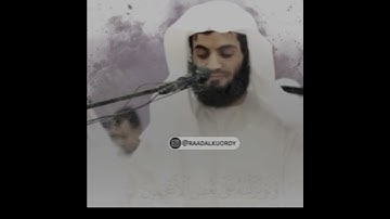 ابداع الشيخ رعد الكردي في سوره الشعراء.......تلاوه
