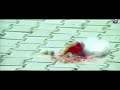 Rajpal yadav comedy whatsapp status manoj Rajput karoli Whatsapp Status Video Download Free