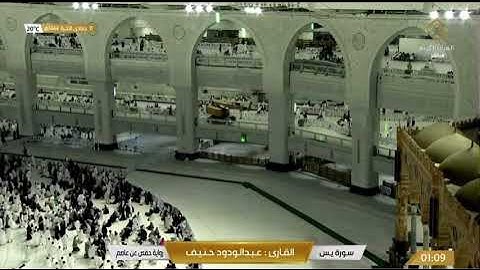 سورة يس - عبدالودود حنيف