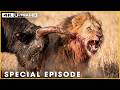 DESERT OF FANGS - Survival Under a Brutal Sun (Full Episode) | Nature Animal Documentary