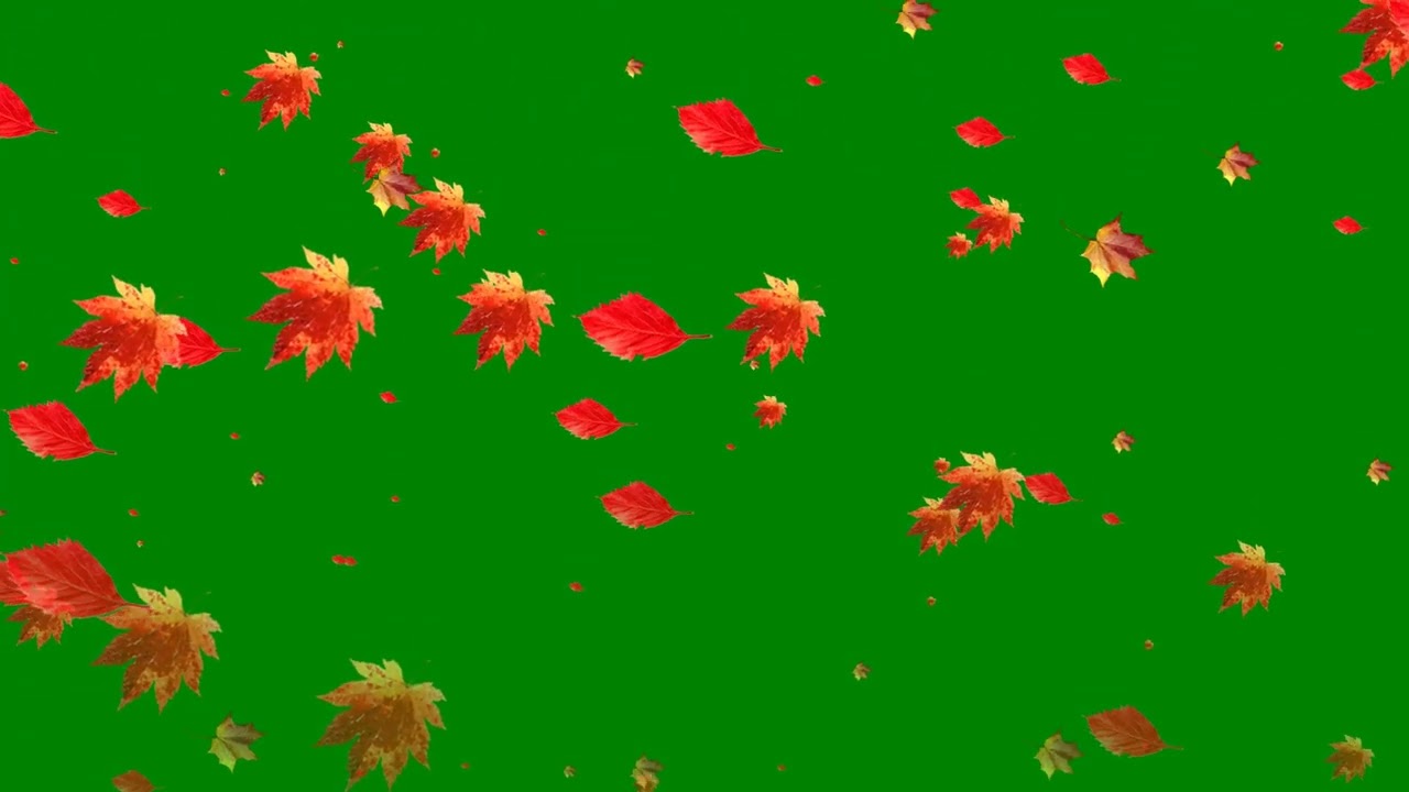 Leaves Animation - green screen - chroma key | Free full hd videos - no copyright