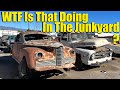 WTF Is that Doing In The Junkyard? - Classic Cars In Wrecking Yards