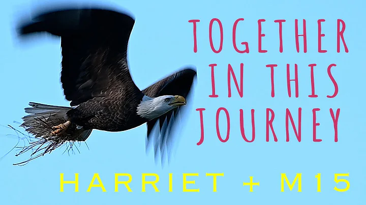 SWFL Eagles- Harriet + M15-Together In This Journe...