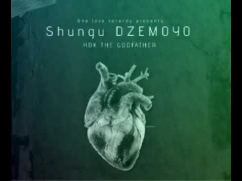 Download SHUNGU DZEMOYO (OFFICIAL AUDIO)
