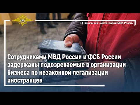 Ирина Волк: Задержаны подозреваемые в организации бизнеса по незаконной легализации иностранцев
