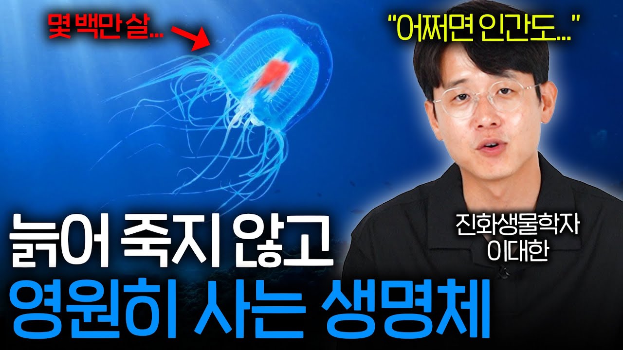 어떻게 영생하는 생명체가 지구에 존재할 수 있을까? (이론적으로 인간도 가능...?)