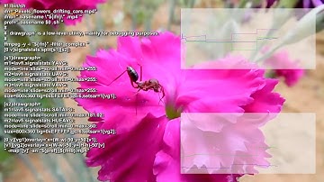 Examples of visualization of video data with ffmpeg - drawgraph with signalstats