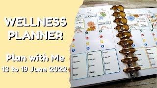 PLAN WITH ME |  WELLNESS HAPPY PLANNER VERTICAL | 13 TO 19 JUNE 2022