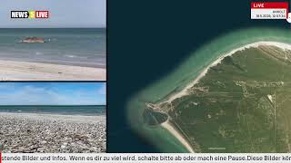 LIVE: Wal vor Dänemarks Küste