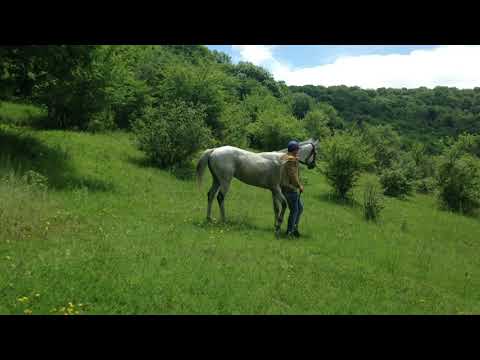 ლეგენდარული ჩანჩქერი