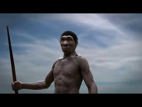 Vídeo: Expansão Do Exoma Completo Que Se Assemelha A Primatas Não Humanos