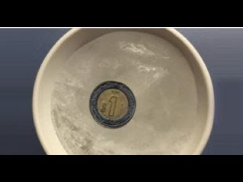 amistad meaning Mira por qué debes meter una moneda en el congelador antes de salir de casa!