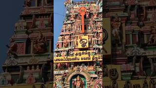 🙏✨ Siruvapuri Murugan Temple Peaceful & Divine Darshan 🦚🔱 #shorts #ytshorts #murugan #trending
