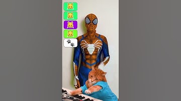 Best Funny MEOW Perfect Easy Tutorial Dance 😂 domino  Filmes funny video😂😂😂|#shorts