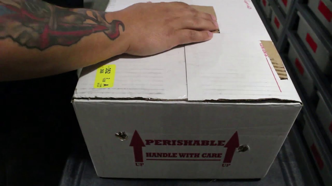 pikachu pokemon New Unboxing Video!