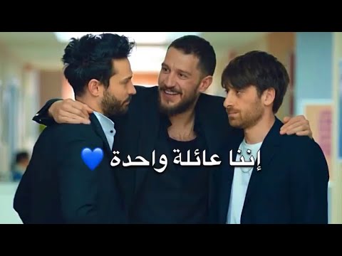 تطور علاقة كارتال و ايفه و شاتين
