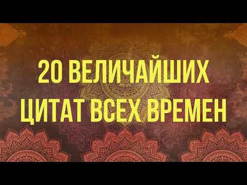 Видео: Лучшие цитаты о пиве всех времен