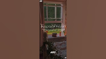 سورة التوبة القارئ #ياسر_الدوسري #فلسطين#السعودية#المغرب#مصر#الجزائر#تونس